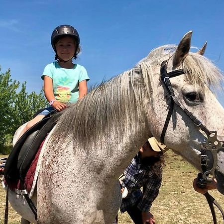 Apartamenty Beata Wisełka المظهر الخارجي الصورة