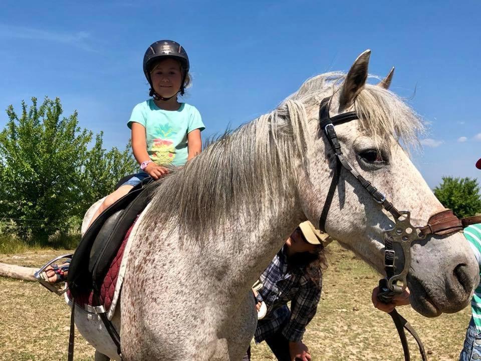 Apartamenty Beata Wisełka المظهر الخارجي الصورة